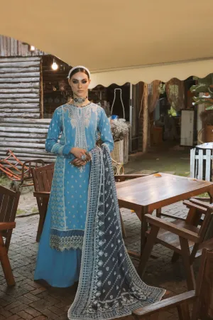 Aabyaan Tehzeeb Winter Edit – NARINA (AK-11)